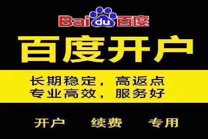 SEM代理服务：提升广告投放效果